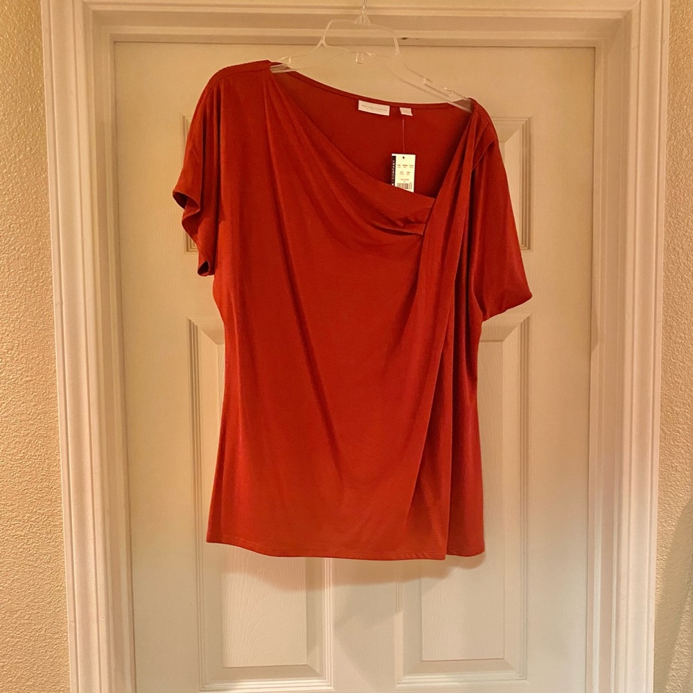 Dress up or down shirt